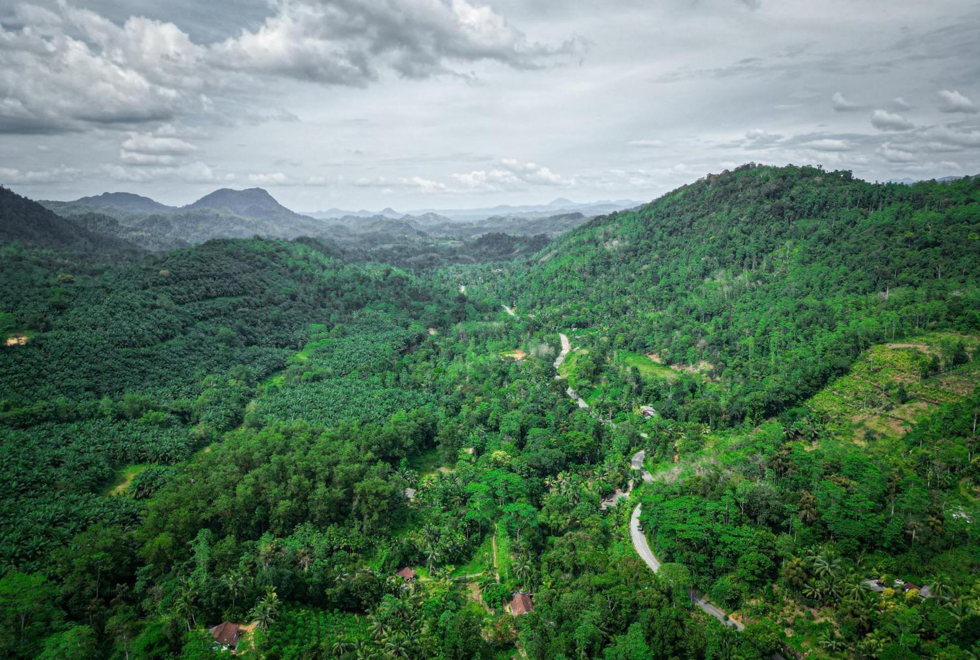 Singharaja Garden Agro Eco Lodge Pelawatta  Екстериор снимка