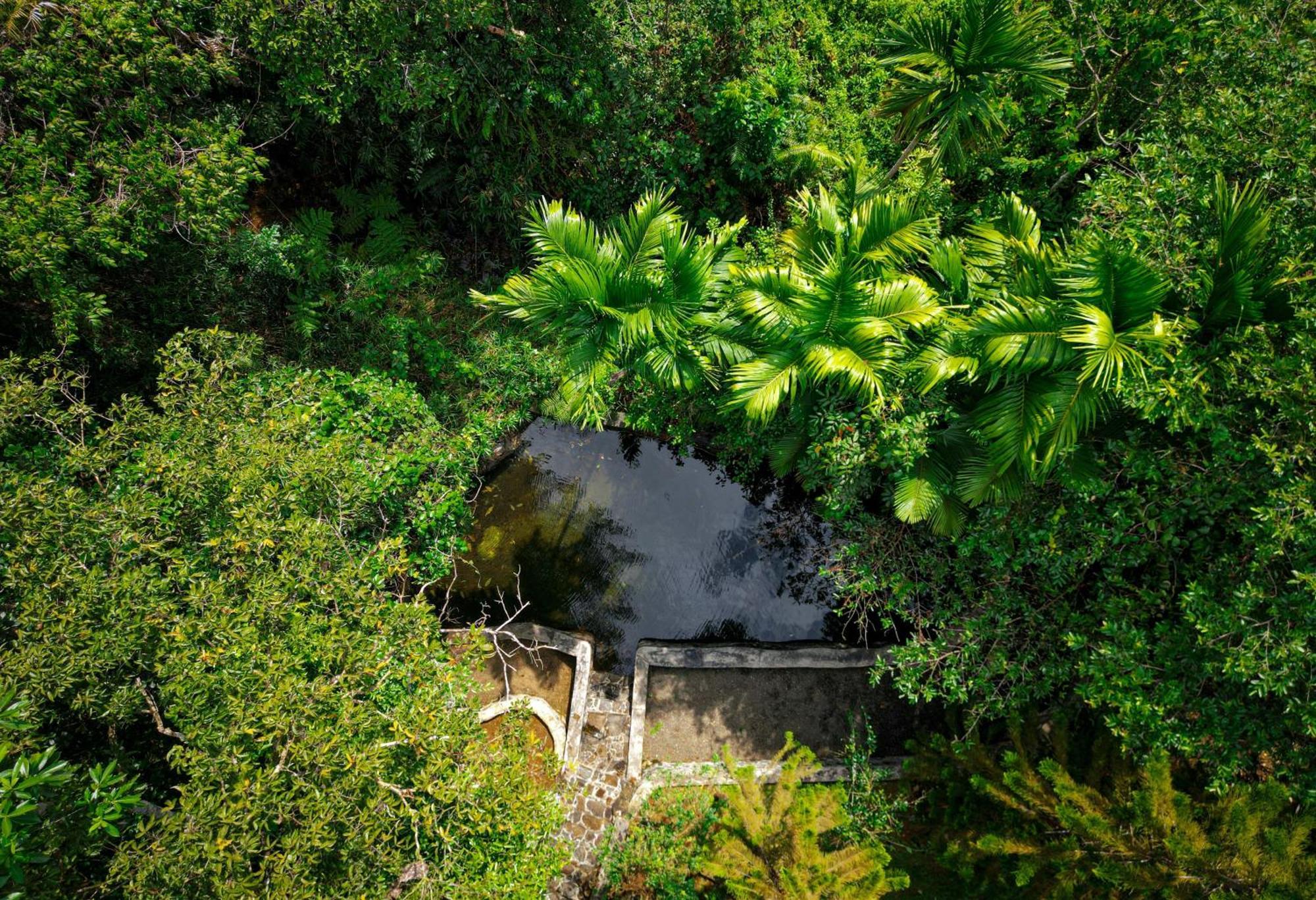 Singharaja Garden Agro Eco Lodge Pelawatta  Екстериор снимка
