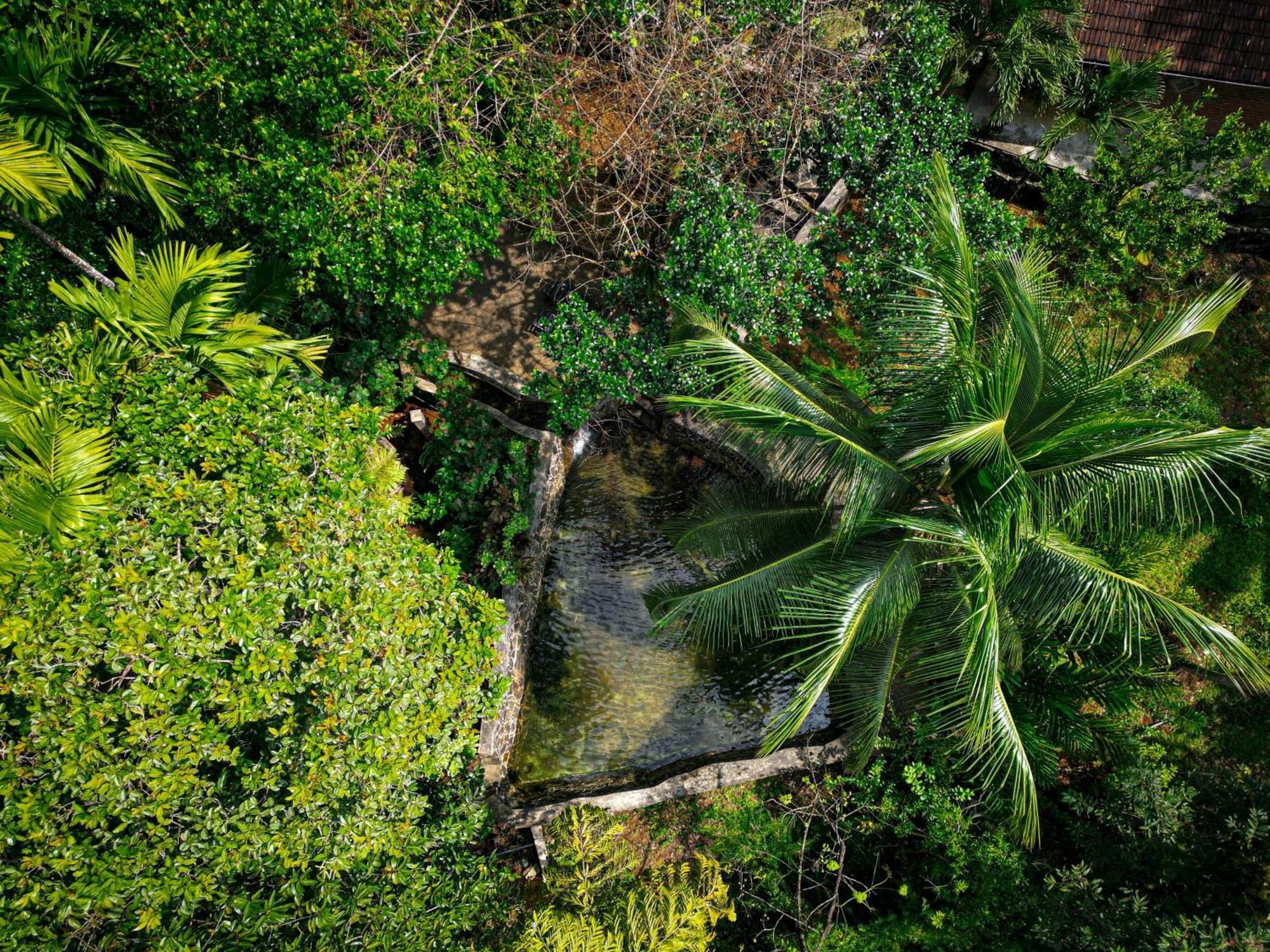 Singharaja Garden Agro Eco Lodge Pelawatta  Екстериор снимка