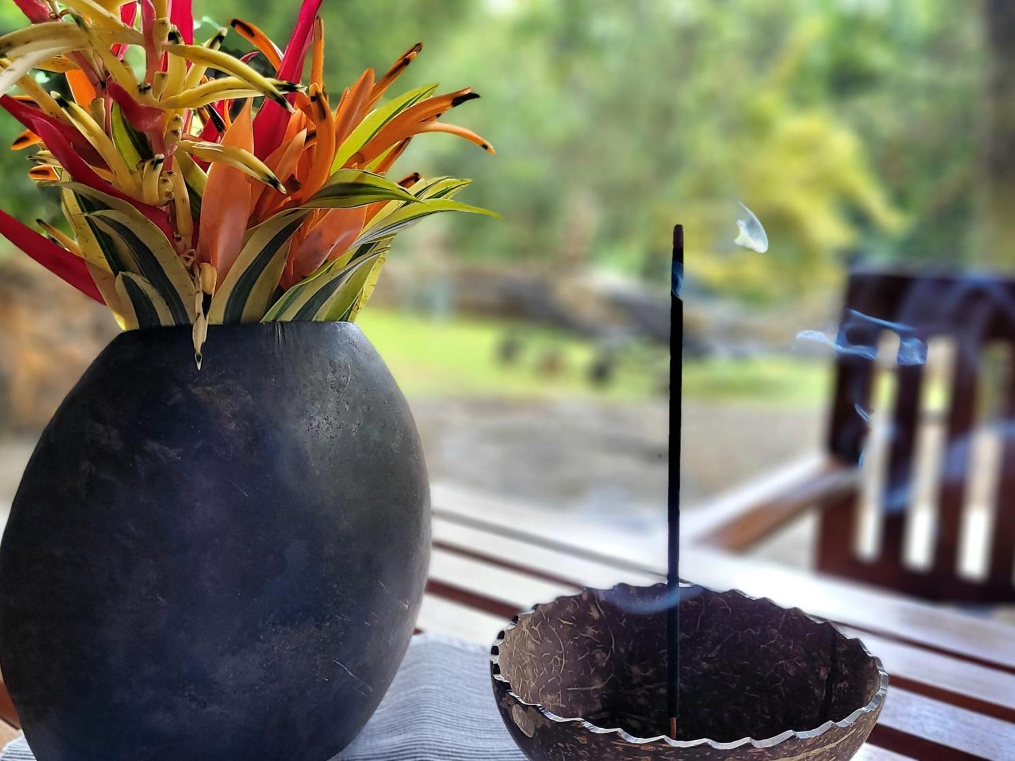 Singharaja Garden Agro Eco Lodge Pelawatta  Стая снимка
